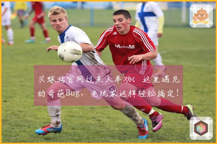 买球站官网过来人奉劝：这里遇见的奇葩Bug，老玩家这样轻松搞定！
